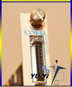Radisys EXM-13 SVGA Video Controller Board (2)