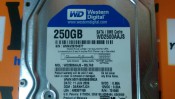 Western Digital WD2500AAJS-00L7A0 Data Recovery Information (3)