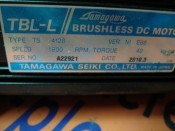 TAMAGAWA TS4128 MOTOR (3)