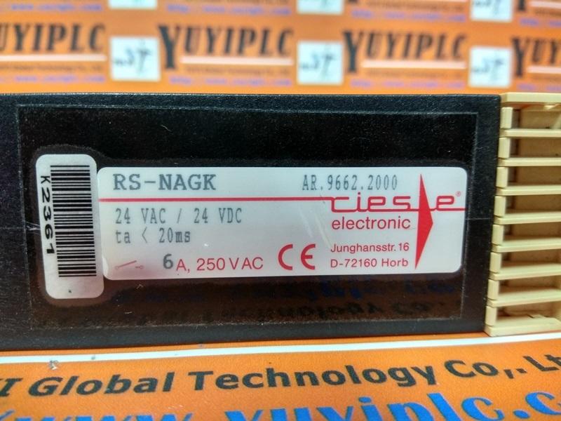 RIESE ELECTRONIC RS-NAGK RSNAGK Safety Relay (3)