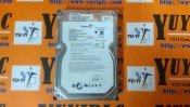 SEAGATE ST3640623AS hard drive (1)