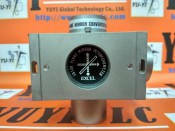 EXCEL Precision 1012A / 1013A / 1016A Converter Interfeometer (2)
